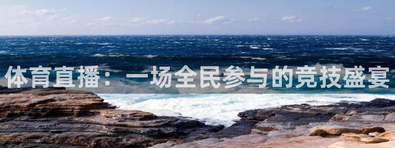 体育直播：一场全民参与的竞技盛宴