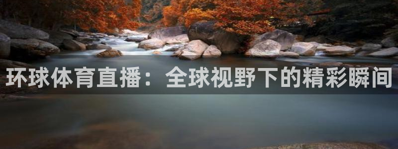 环球体育直播：全球视野下的精彩瞬间