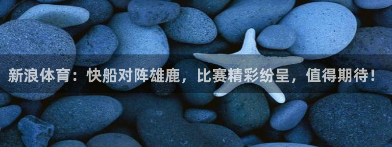 新浪体育：快船对阵雄鹿，比赛精彩纷呈，值得期待！